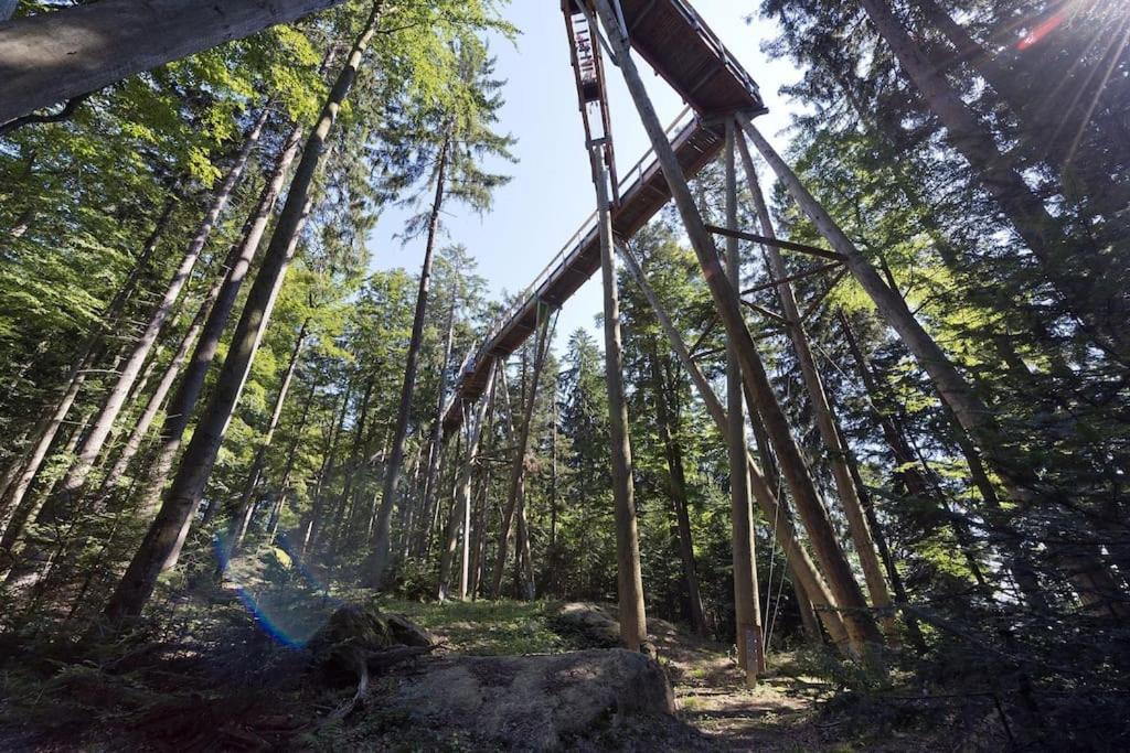 Cozy I Blockhuette Im Nationalpark I Ferienwohnung นอยไรเคเนา ภายนอก รูปภาพ