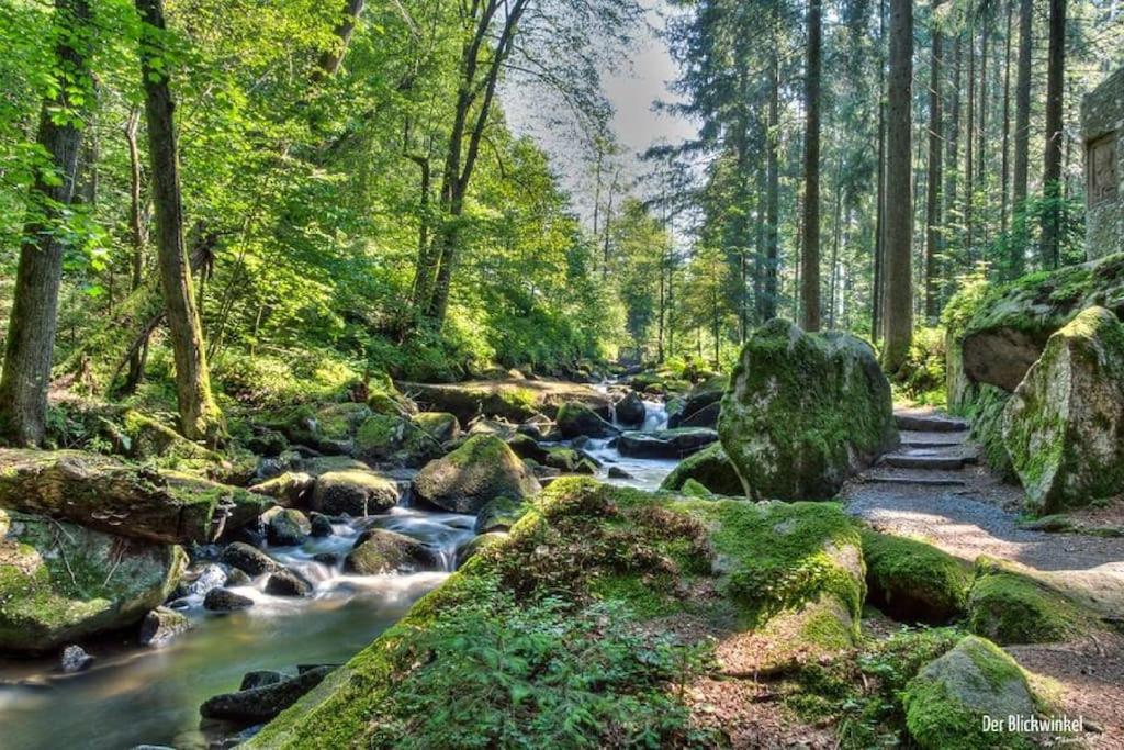 Cozy I Blockhuette Im Nationalpark I Ferienwohnung นอยไรเคเนา ภายนอก รูปภาพ