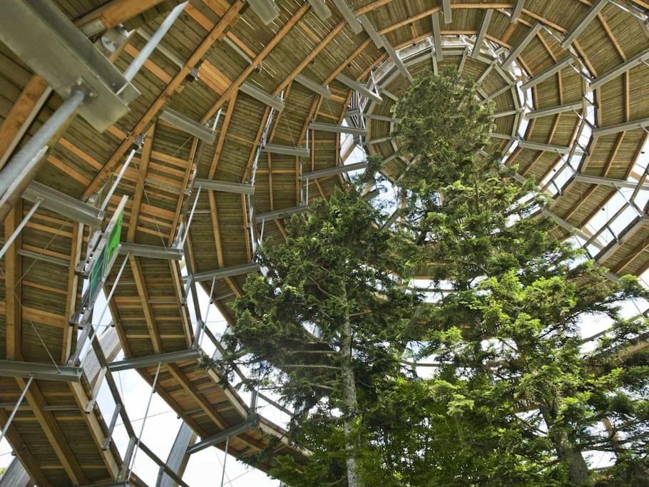 Cozy I Blockhuette Im Nationalpark I Ferienwohnung นอยไรเคเนา ภายนอก รูปภาพ